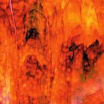 uroboros orange/ red on white with light & dark green