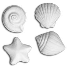 Bisque Embellishment Seashells - 12 Pack