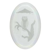 Owl Engraved Bevel