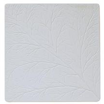 Net Leaf Vein Mold