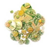 Fusion Circles Assortment - 150 Pieces