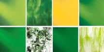 System 96 CMS Spring Glass Pack with FREE Mold