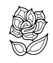 Rose Bevel Cluster