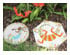 8 Round Mold 1