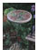 Tiffany Garden, Book 2 1