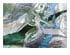 Green Whale Tail Bevel Cluster 1