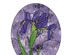 Blooming Iris Value Glass Pack 1