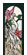 Peacock Bevel Cluster - Faces Right 1