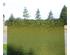 English Muffle Sussex Green 1