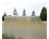 English Muffle Antique Veil (Extra Pale Amber) 1