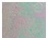 Spectrum Crystal Clear Ice Iridized 1