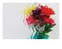 Clear Textured Petals 1