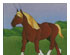 Prairie Style Glass Pack 5