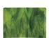 Bullseye Yellow Opal, Deep Forest Green Streaky - 90 Coe 1