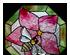 Colored Bumble Bee Bevel Cluster 1