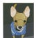 Jennells Big Book Of Dogs 3