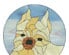 Jennells Big Book Of Dogs 4