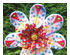 Fun Time Millefiori Assortment - 90 COE 3