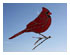 Obsession Pre-cut Cardinal Kit 2
