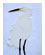 Obsession Pre-cut Snowy Egret Kit 1