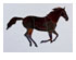 Obsession Pre-cut Chestnut Horse Kit 1