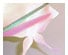 Dicro Slide Solid Scrap Pack - Small 1