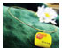 Silver Plated Choker Necklace 2