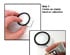 Alexa Ponytail Holders 2