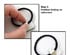 Alexa Ponytail Holders 3