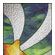 Tropical Glass Pack 1