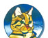 Cat Crazy 5