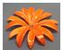 Ripple Flower Mold 5