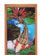300 Stained Glass Cabinet Door Designs Pattern CD 3