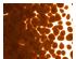 5 oz Cinnabar Opal Frit - Coarse - 90 COE 2