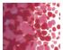 5 oz Bullseye Pink Opal Frit - Coarse - 90 COE 2
