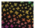 Butterflies 2 Rainbow 2 On Thin Black - 96 COE 1