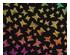 Butterflies 2 Rainbow 2 On Thin Black - 96 COE 2