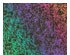Fiber Rainbow 2 On Thin Clear - 90 COE 1