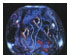 The Aquarium Bead DVD 1