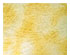 Royal Gold / Silver - 90 COE 1