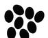 Large Pre-cut Black Ovals - 90 COE 1