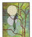 Contemporary Designs 3