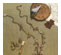 Enchanted Adornments 1