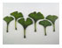 Ginkgo Leaves Casting and Slumping Mold 1