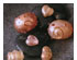 Complete Book of Glass Beadmaking 3