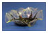 Large Organic Slump Mold 2