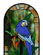 Blue Colored Macaw Bevel Cluster 1
