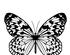 Color Your Own Decals 2