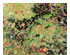 Uroboros Forest Park Ring Mottled 1
