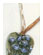 Jewelry Designs from Nature 3